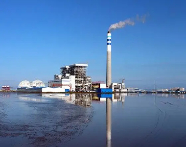 16-中電投協鑫濱海發(fā)電項目（21000MW）的凝結水泵16L