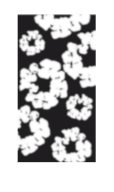 FLORAL COLLECTION