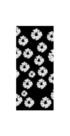 FLORAL COLLECTION