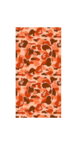 CAMO COLLECTION