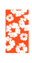 FLORAL COLLECTION