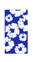FLORAL COLLECTION