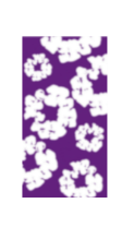 FLORAL COLLECTION