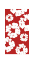 FLORAL COLLECTION