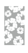 FLORAL COLLECTION