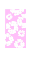 FLORAL COLLECTION